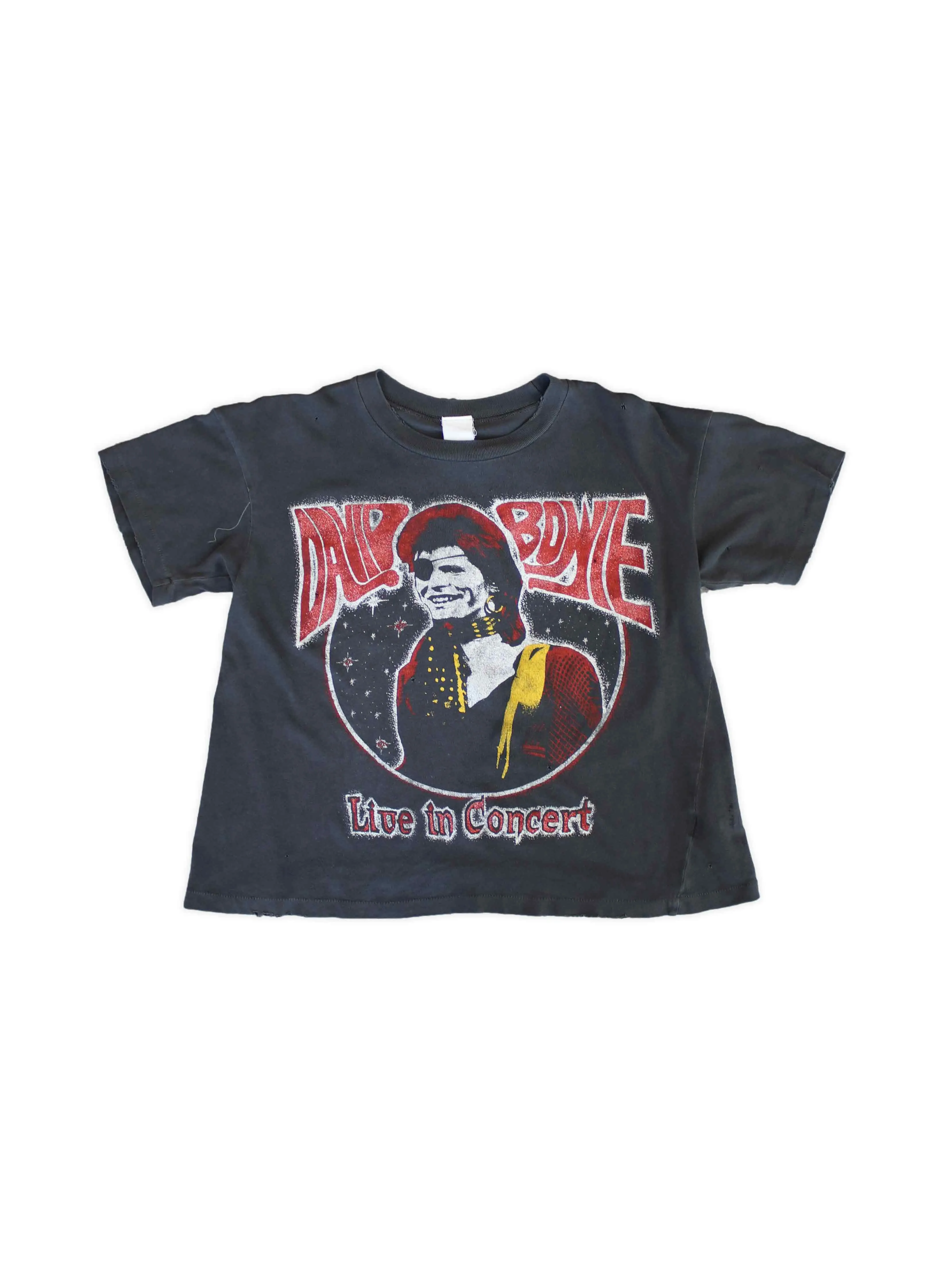 Bowie On Stage Cropped Tee