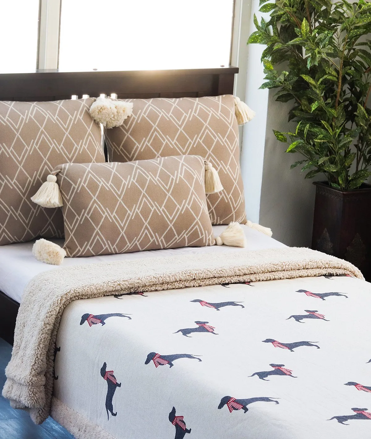 Dachshund - Pale Whisper Cotton Knitted Kids Single Bed Blanket with Warm Sherpa Fabric